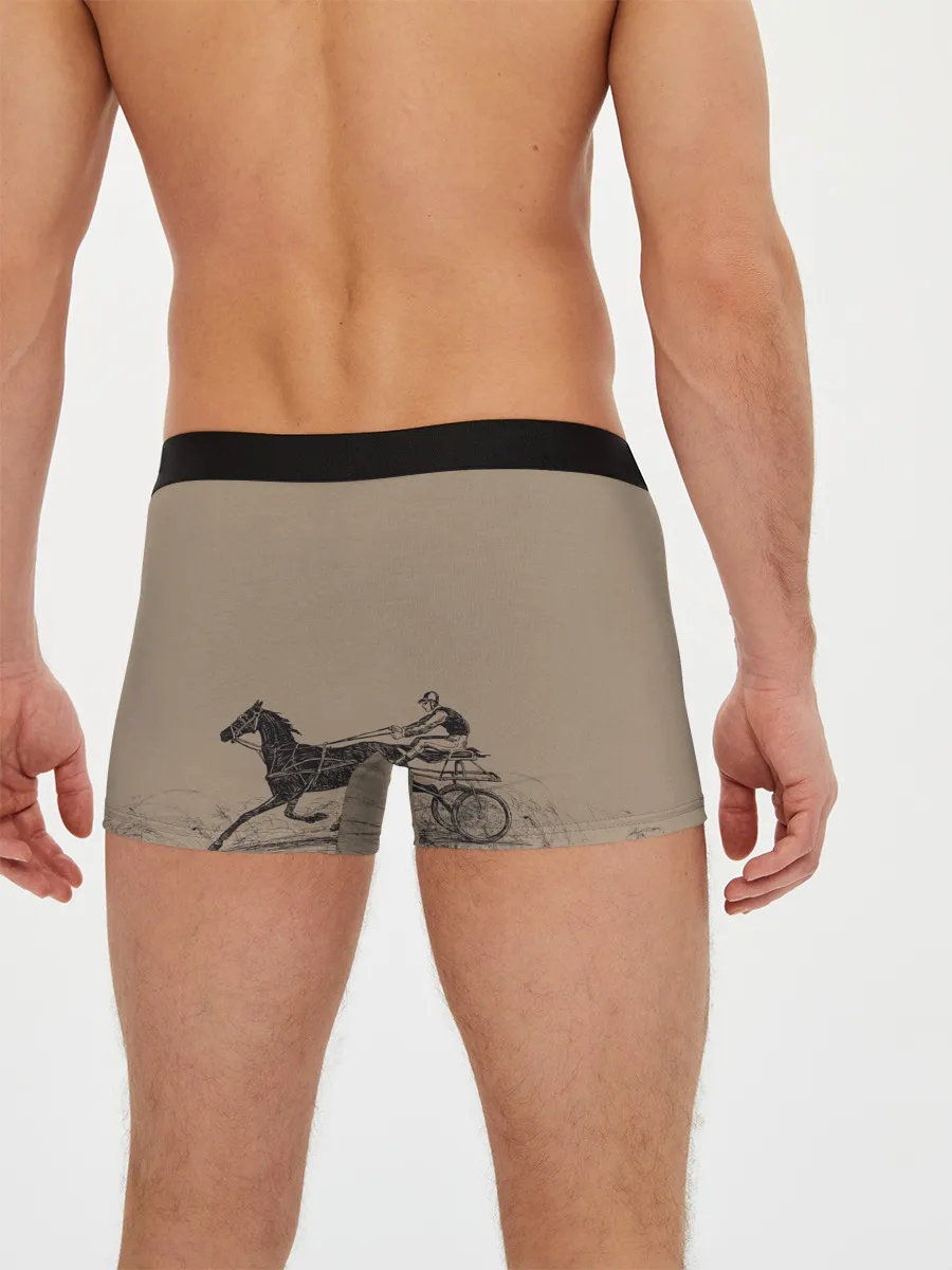 Мужские трусы боксеры / лошадь с колесницей