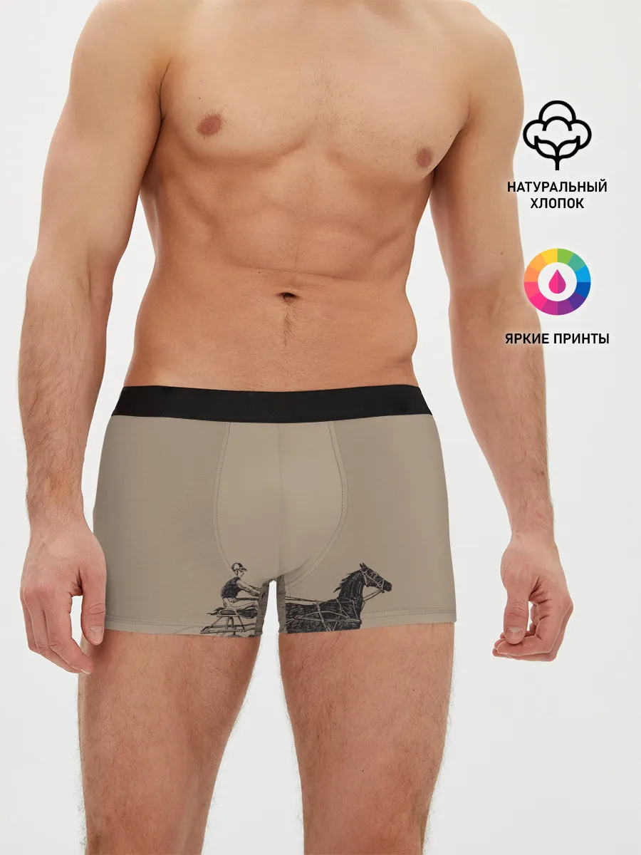 Мужские трусы боксеры / лошадь с колесницей