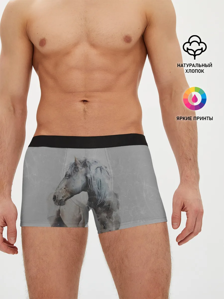Мужские трусы боксеры / лошадь