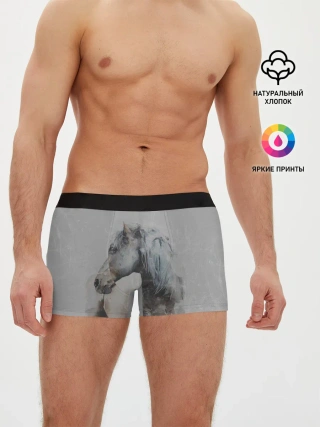 Мужские трусы боксеры / лошадь
