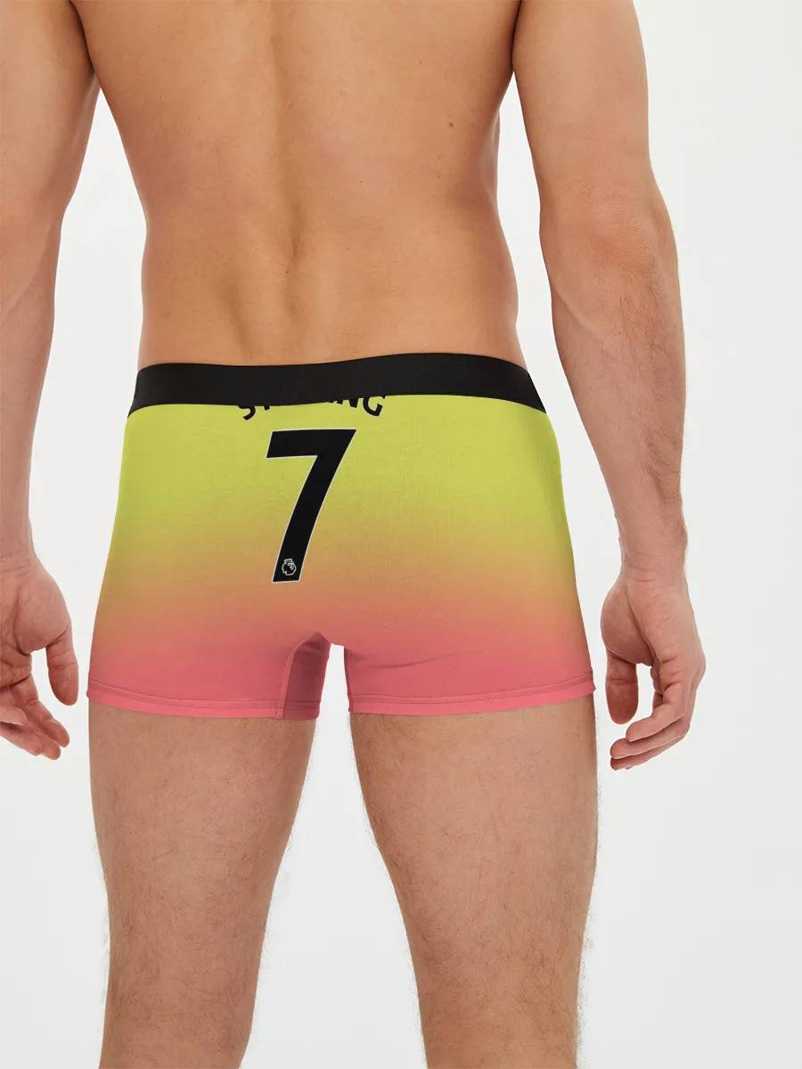 Мужские трусы боксеры / Sterling third 19-20