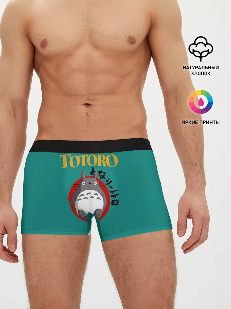 Мужские трусы боксеры / Totoro