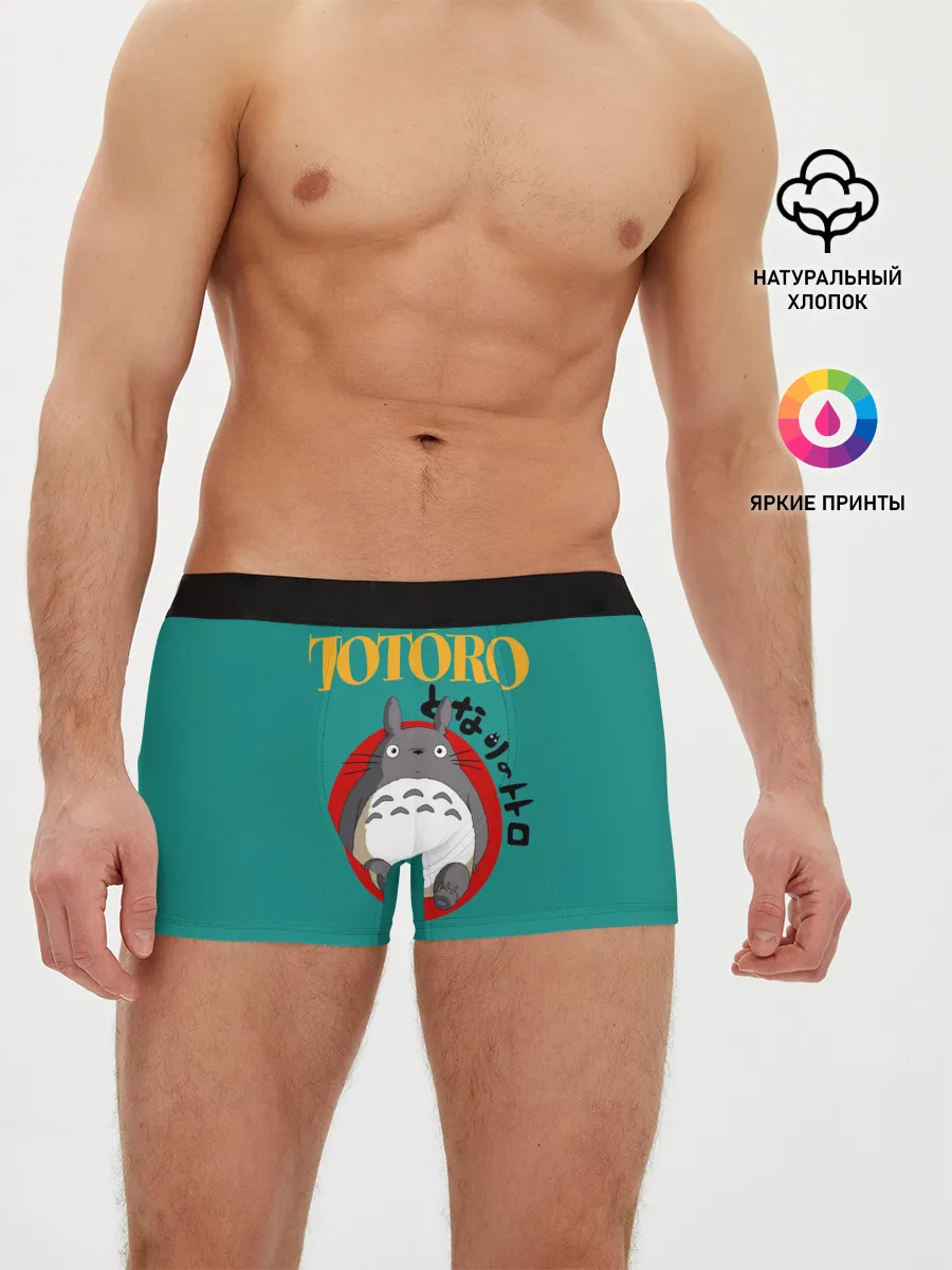 Мужские трусы боксеры / Totoro