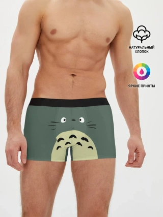 Мужские трусы боксеры / totoro