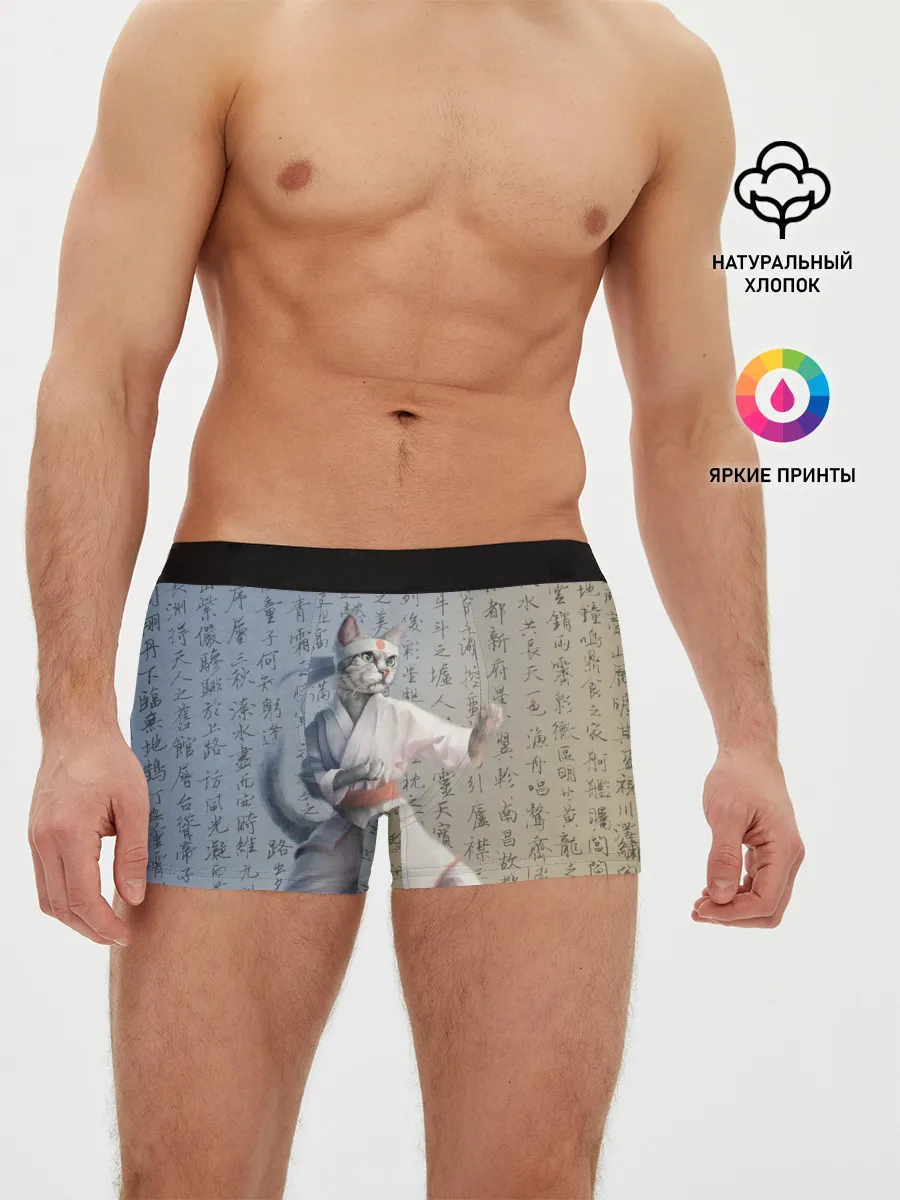 Мужские трусы боксеры / Karate cat