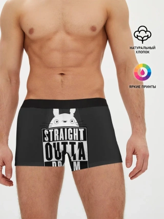 Мужские трусы боксеры / Тоторо Straight outta dream