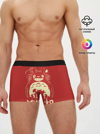 Мужские трусы боксеры / Totoro