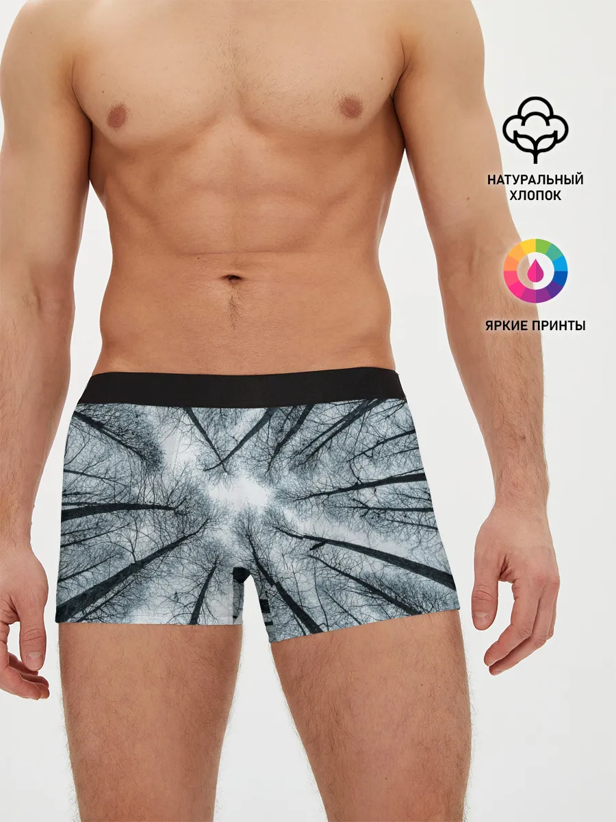 Мужские трусы боксеры / Деревья вид снизу мрачный