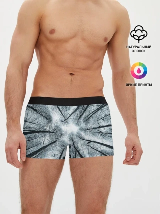 Мужские трусы боксеры / Деревья вид снизу мрачный