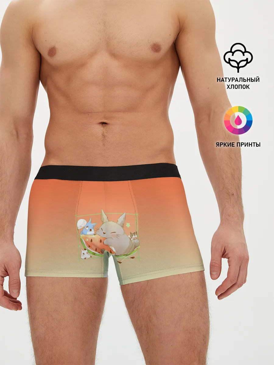 Мужские трусы боксеры / Семейство Тоторо ест арбуз