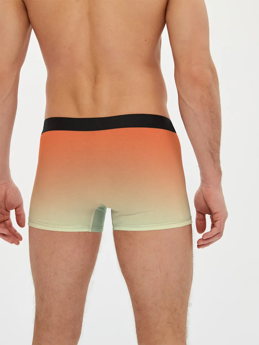 Мужские трусы боксеры / Семейство Тоторо ест арбуз