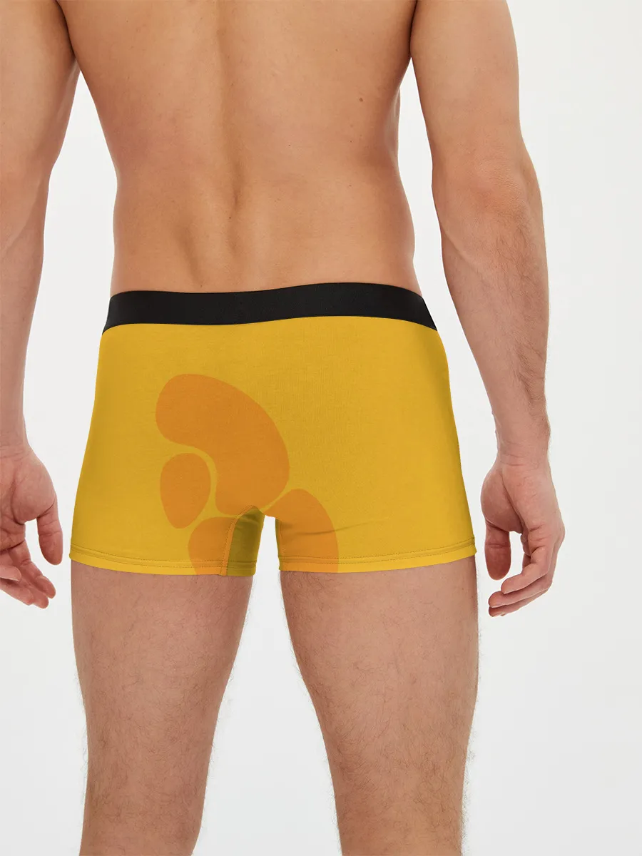 Мужские трусы боксеры / Зеницу Агацума с клинком