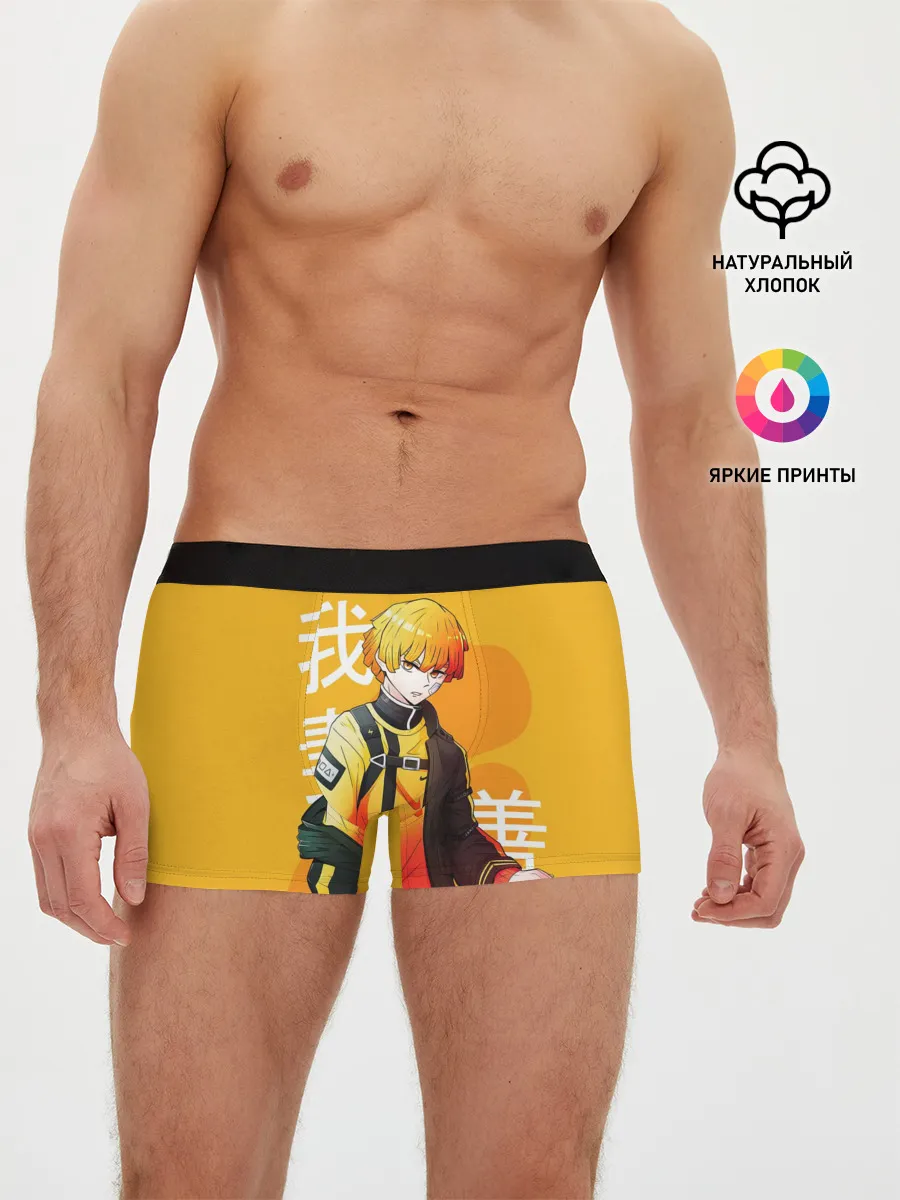 Мужские трусы боксеры / Зеницу Агацума с клинком