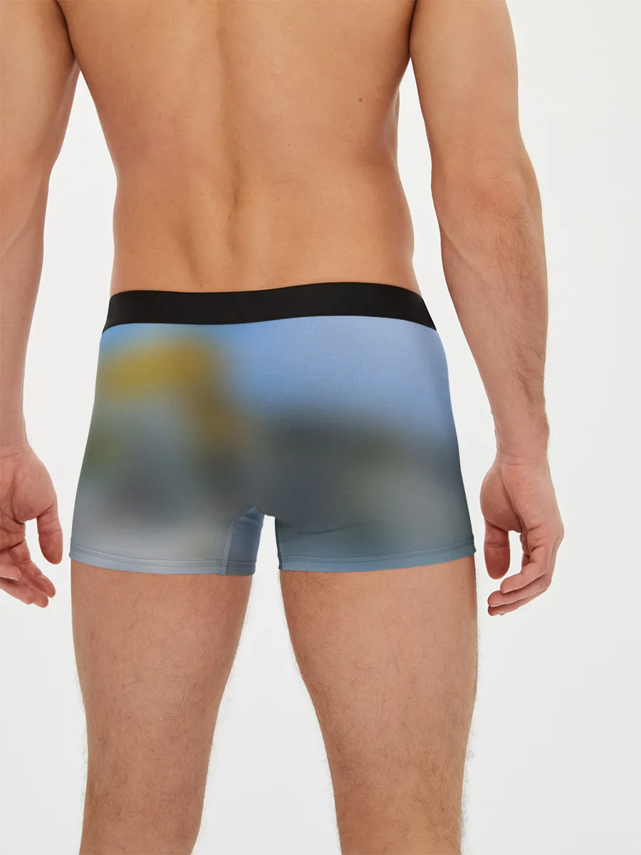 Мужские трусы боксеры / Я не в Японии 3