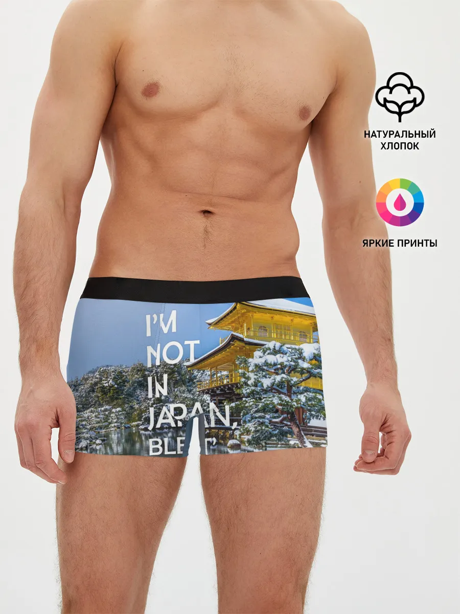 Мужские трусы боксеры / Я не в Японии 3
