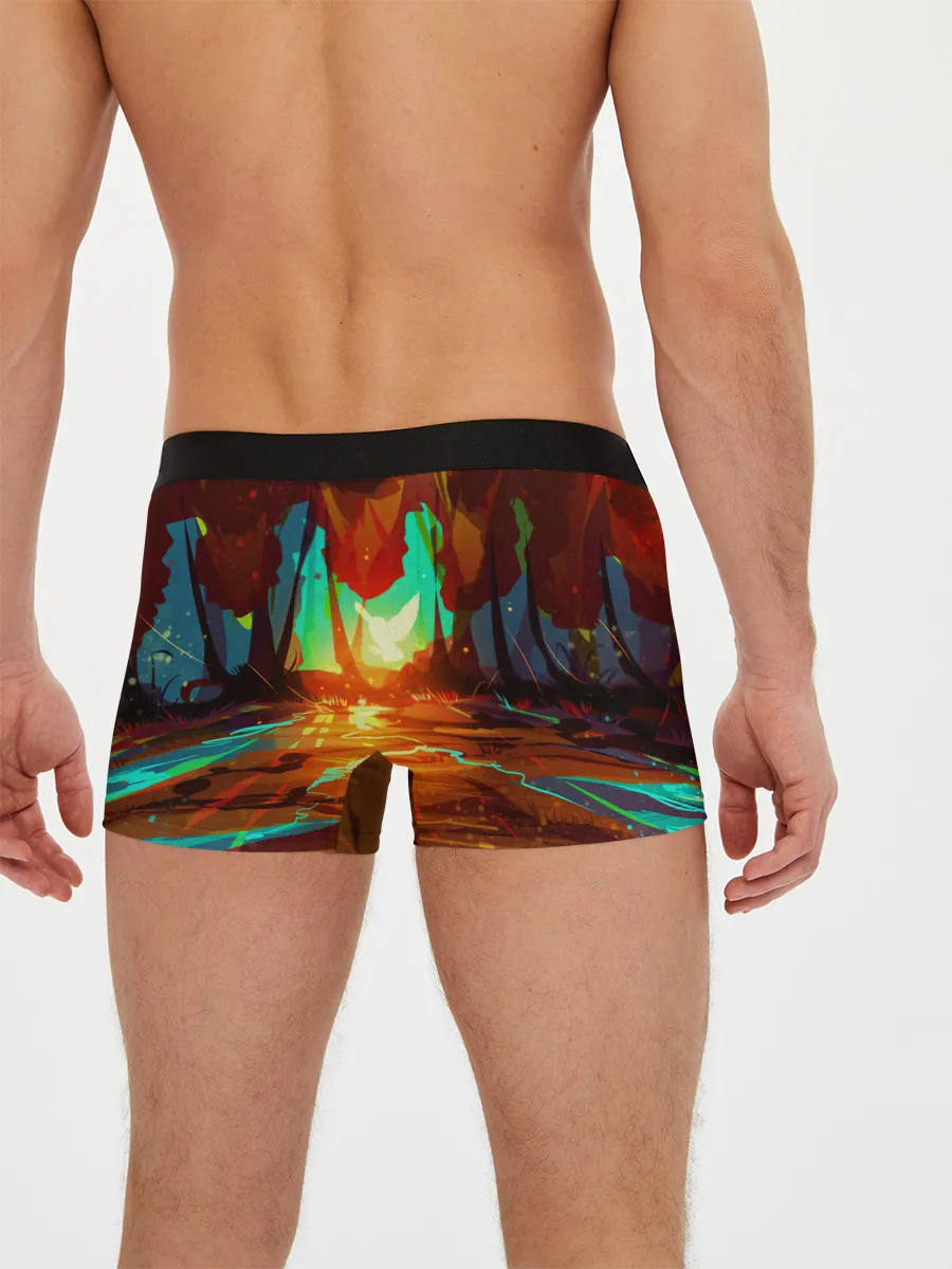 Мужские трусы боксеры / Птица света в волшебном лесу