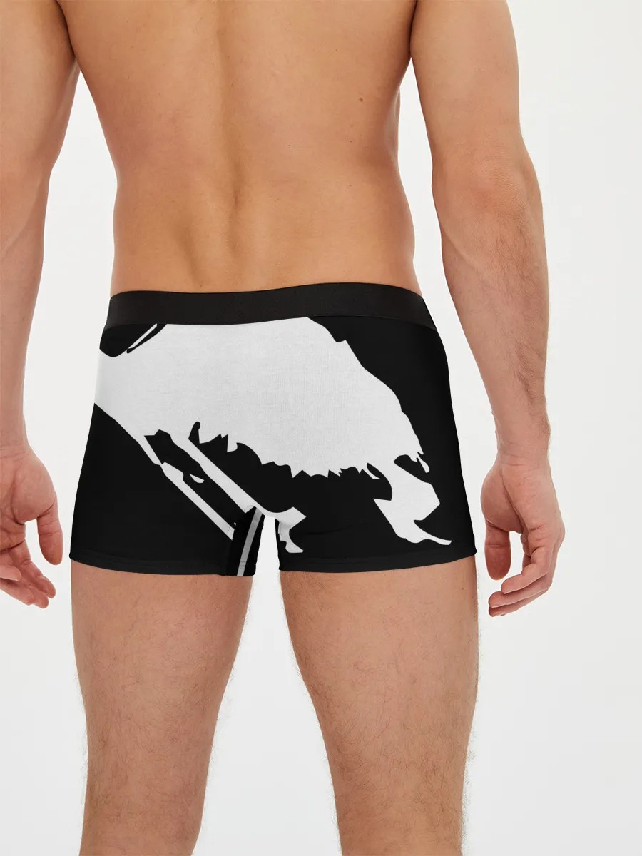 Мужские трусы боксеры / Sword Art Online