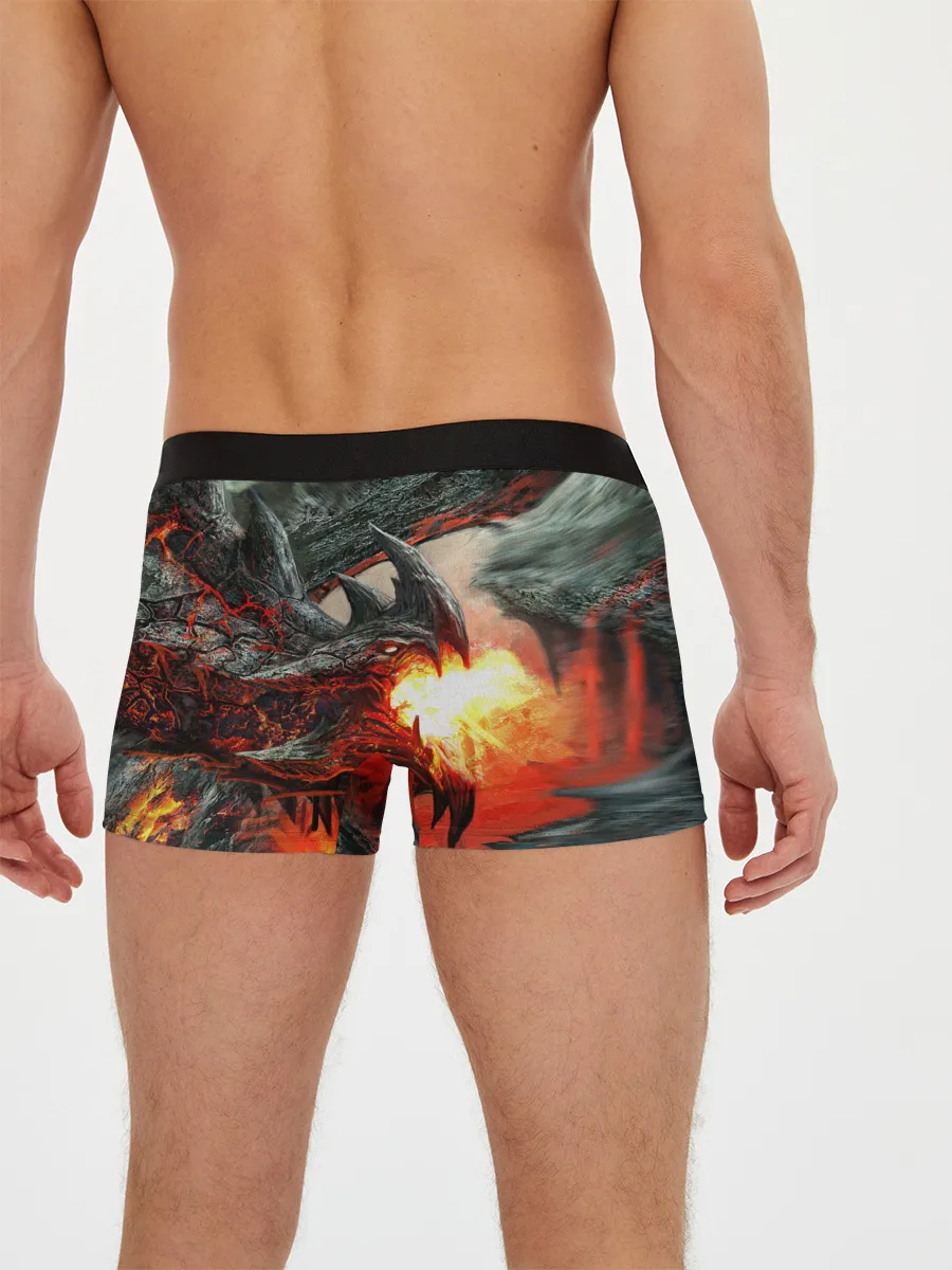 Мужские трусы боксеры / Дракон | Dragon