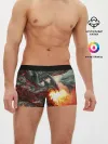 Мужские трусы боксеры / Дракон | Dragon