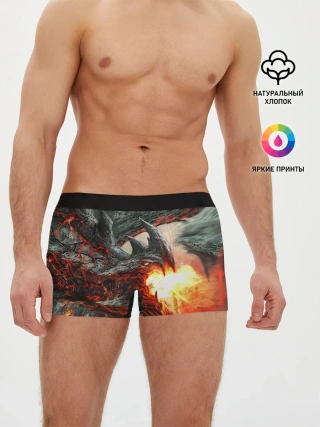 Мужские трусы боксеры / Дракон | Dragon