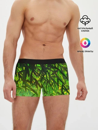Мужские трусы боксеры / ТРАВА / TRAVA