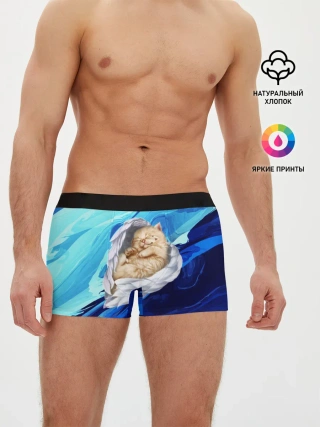 Мужские трусы боксеры / Котик Ангелочек