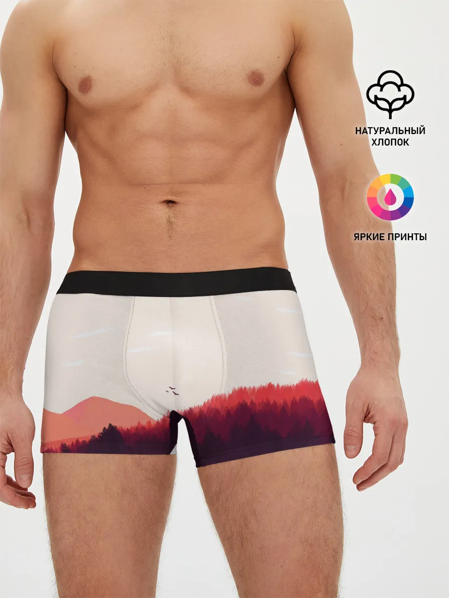Мужские трусы боксеры / Пейзаж №1