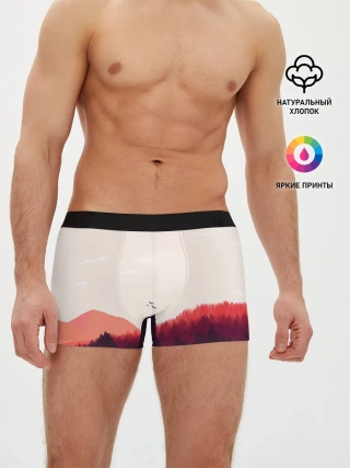 Мужские трусы боксеры / Пейзаж №1