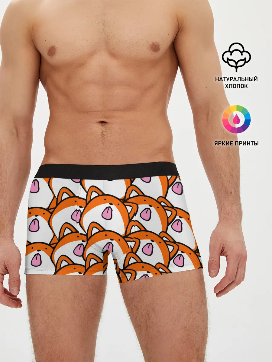 Мужские трусы боксеры / ЛИСИЧКИ