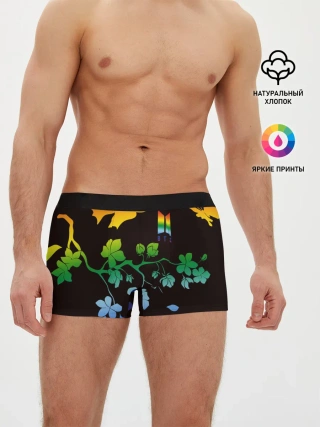 Мужские трусы боксеры / BTS