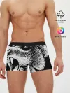 Мужские трусы боксеры / Черный медведь