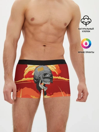 Мужские трусы боксеры / PUBG Skull