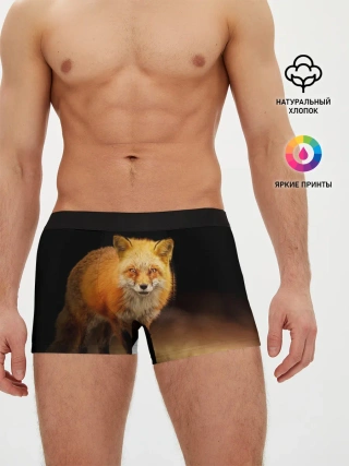 Мужские трусы боксеры / Лиса