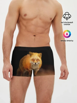 Мужские трусы боксеры / Лиса