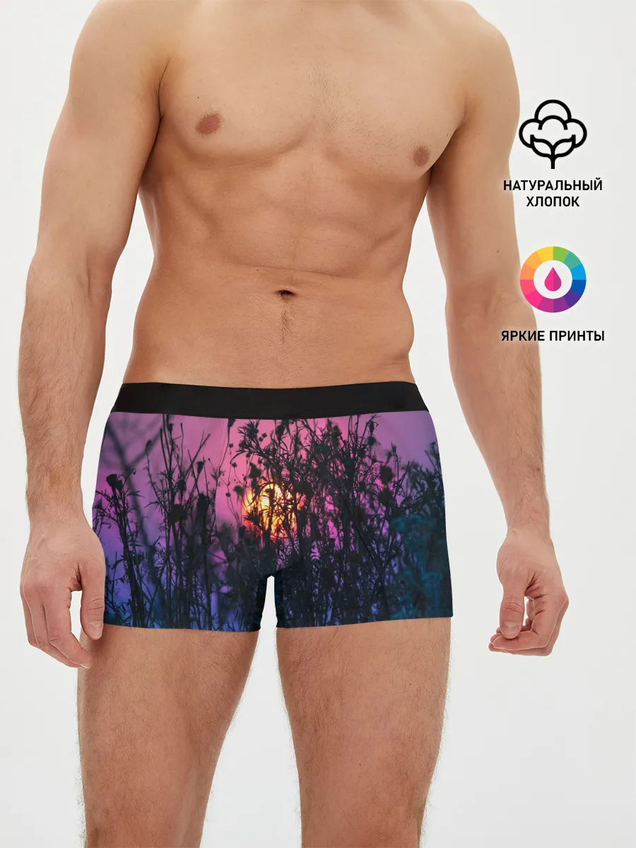 Мужские трусы боксеры / Трава растения закатный свет