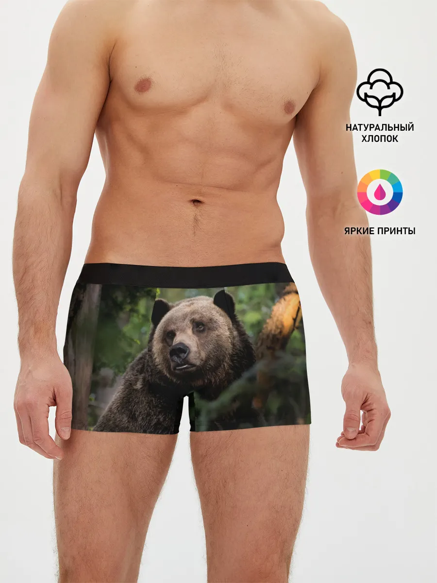Мужские трусы боксеры / Медведь