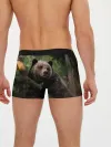Мужские трусы боксеры / Медведь
