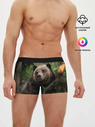 Мужские трусы боксеры / Медведь