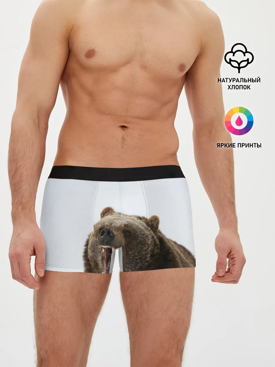 Мужские трусы боксеры / Bear