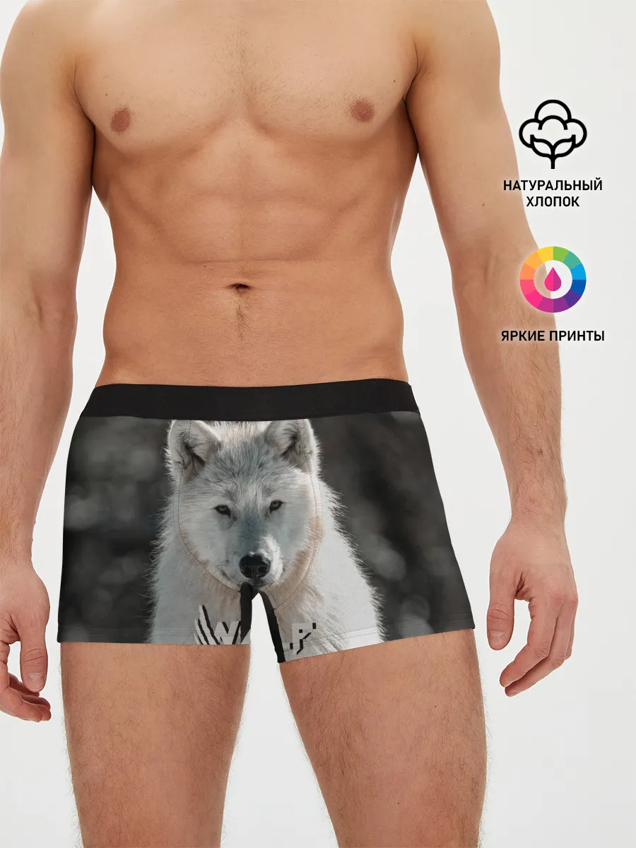 Мужские трусы боксеры / Волк