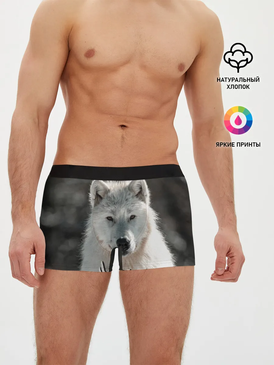 Мужские трусы боксеры / Волк