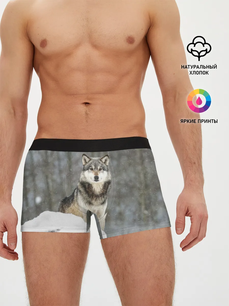 Мужские трусы боксеры / Волк и снег