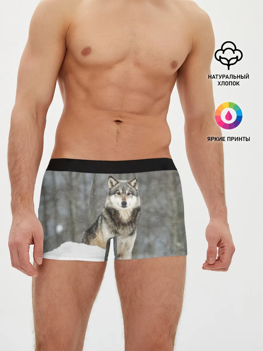 Мужские трусы боксеры / Волк и снег
