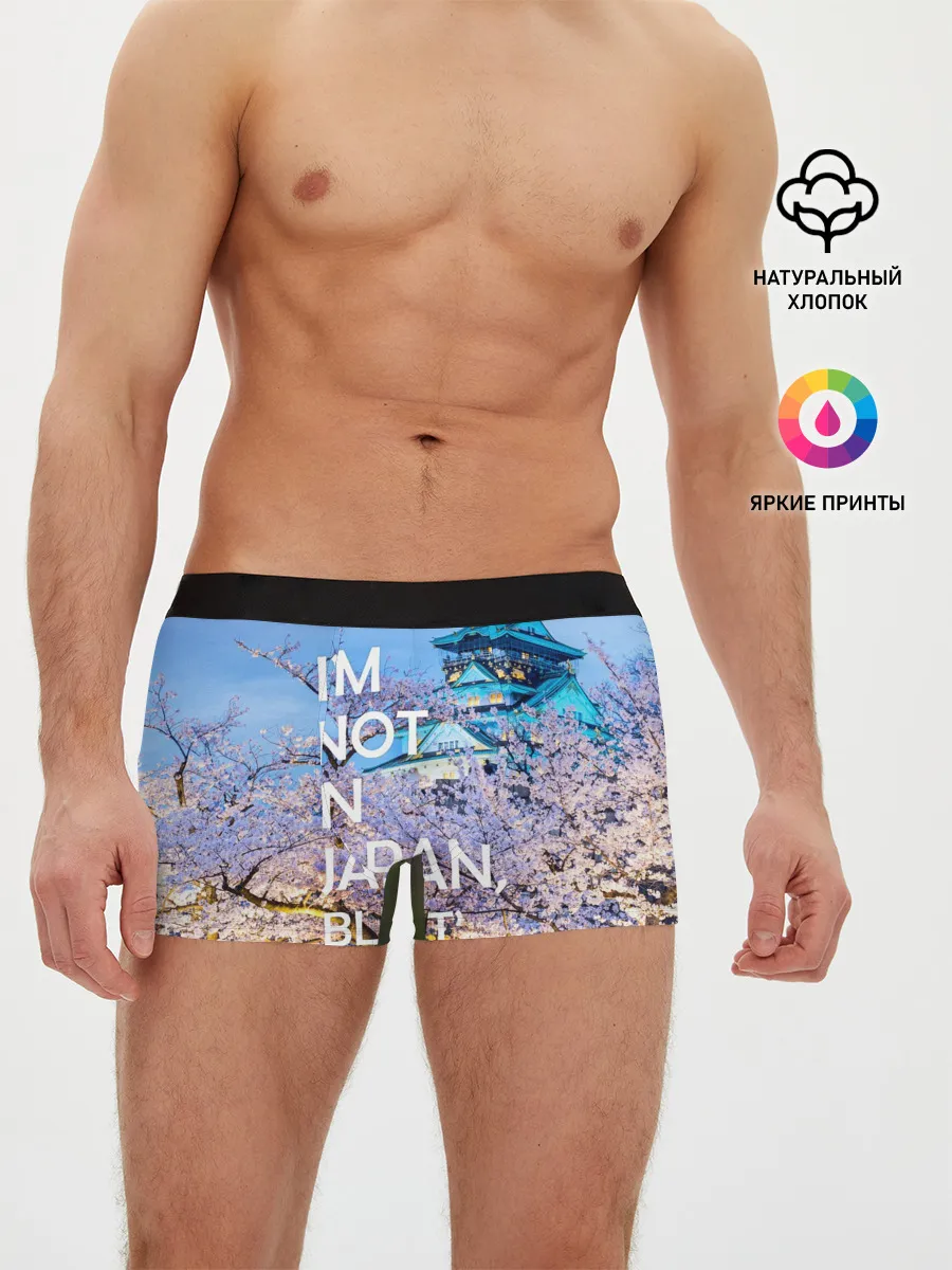 Мужские трусы боксеры / Я не в Японии 10