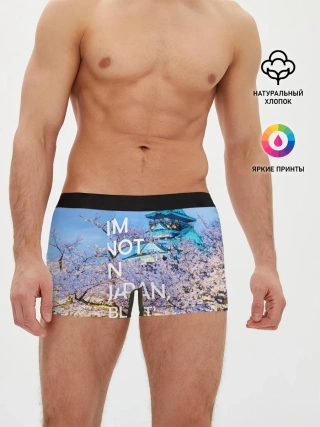 Мужские трусы боксеры / Я не в Японии 10