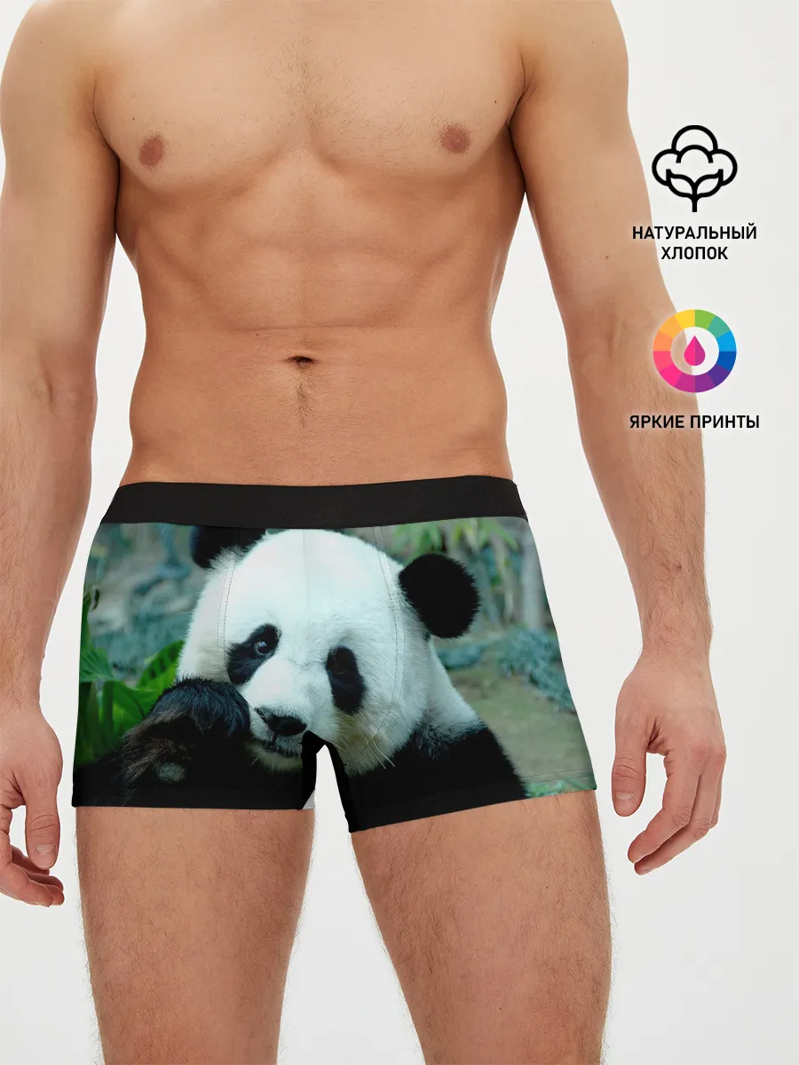 Мужские трусы боксеры / Панда
