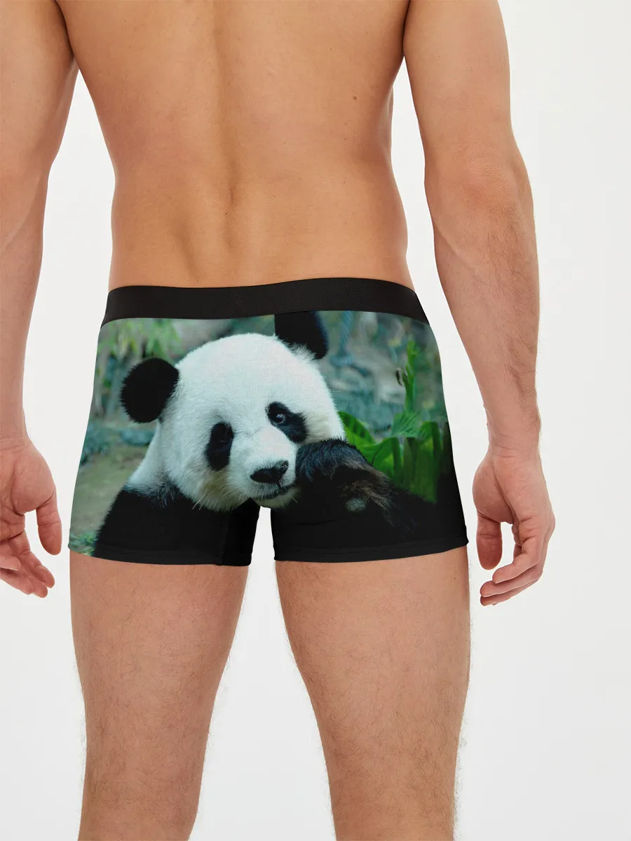 Мужские трусы боксеры / Панда
