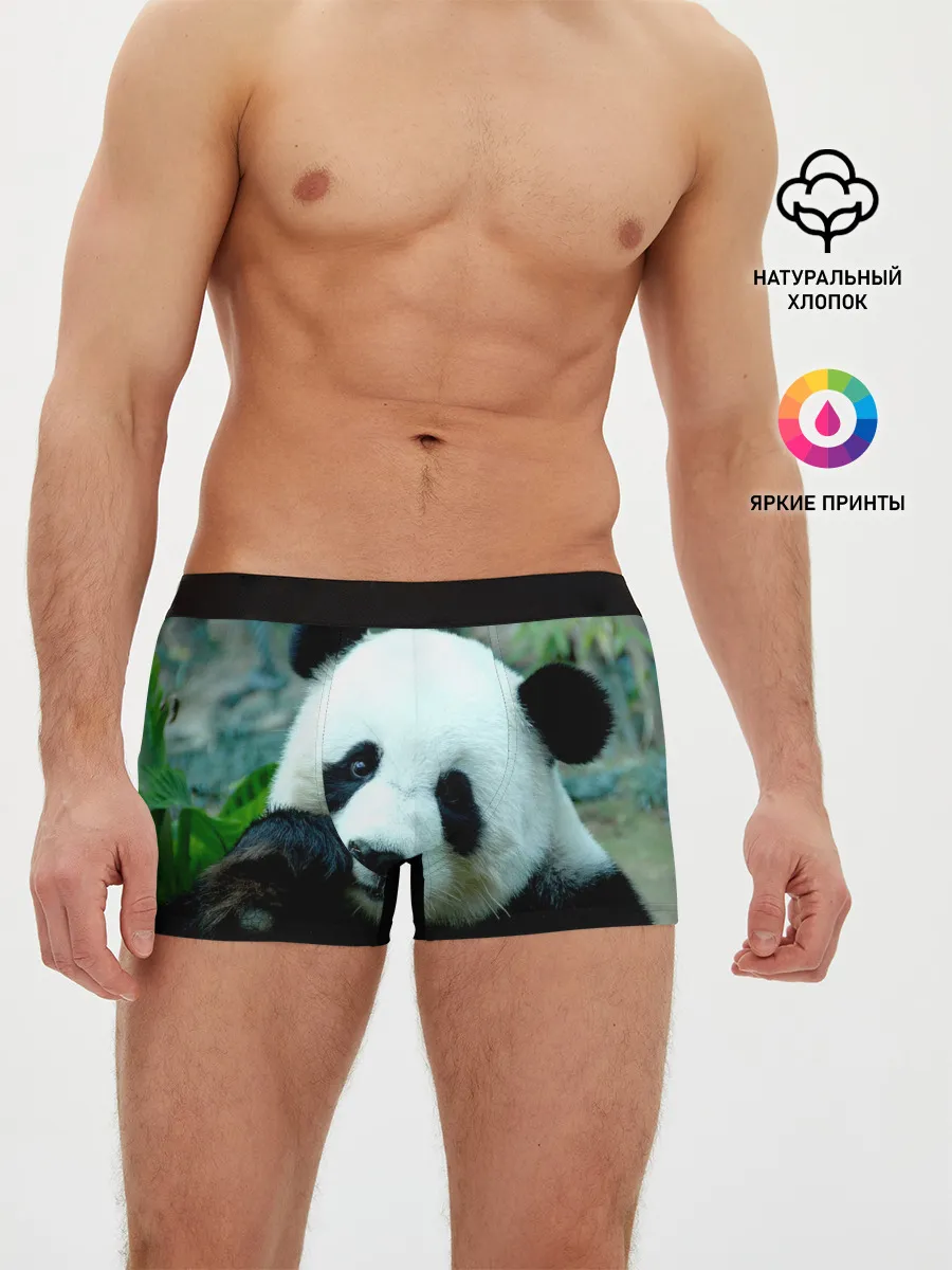 Мужские трусы боксеры / Панда