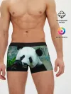 Мужские трусы боксеры / Панда
