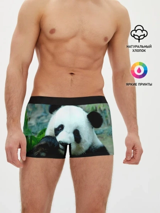 Мужские трусы боксеры / Панда